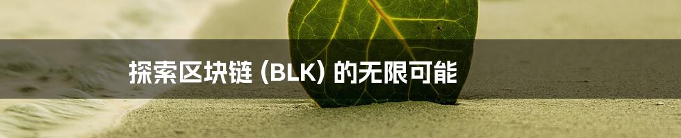 探索区块链 (BLK) 的无限可能