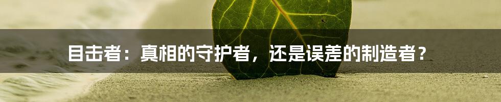 目击者：真相的守护者，还是误差的制造者？