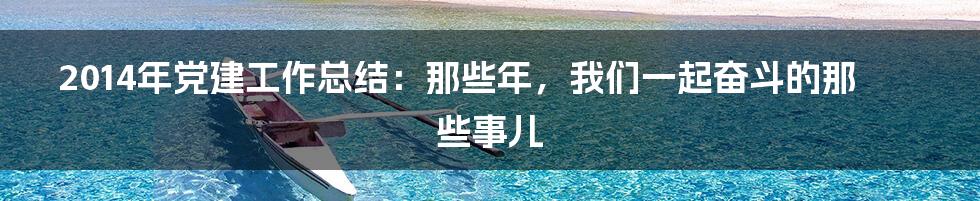 2014年党建工作总结：那些年，我们一起奋斗的那些事儿