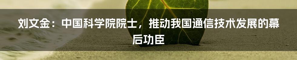 刘文金：中国科学院院士，推动我国通信技术发展的幕后功臣