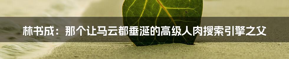 林书成：那个让马云都垂涎的高级人肉搜索引擎之父