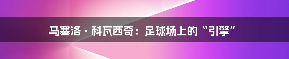 马塞洛·科瓦西奇：足球场上的“引擎”