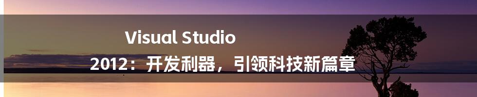 Visual Studio 2012：开发利器，引领科技新篇章