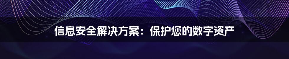 信息安全解决方案：保护您的数字资产