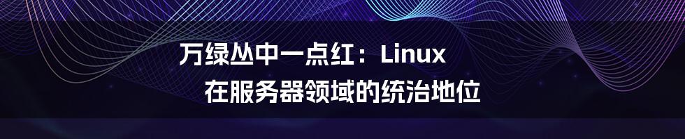 万绿丛中一点红：Linux 在服务器领域的统治地位