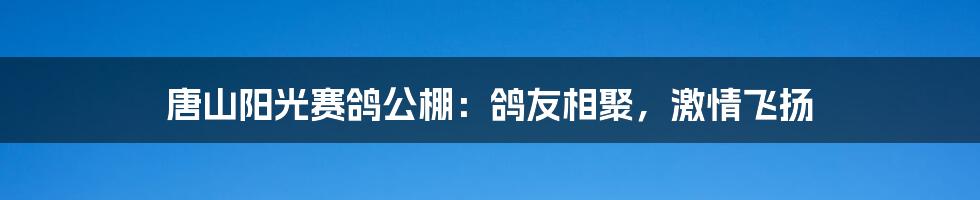 唐山阳光赛鸽公棚：鸽友相聚，激情飞扬