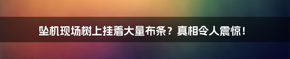 坠机现场树上挂着大量布条？真相令人震惊！