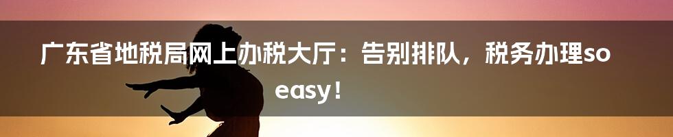 广东省地税局网上办税大厅：告别排队，税务办理so easy！