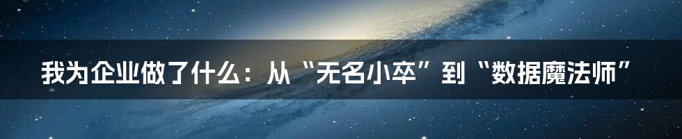 我为企业做了什么：从“无名小卒”到“数据魔法师”