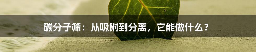 碳分子筛：从吸附到分离，它能做什么？