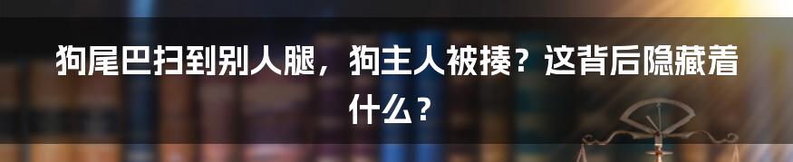 狗尾巴扫到别人腿，狗主人被揍？这背后隐藏着什么？