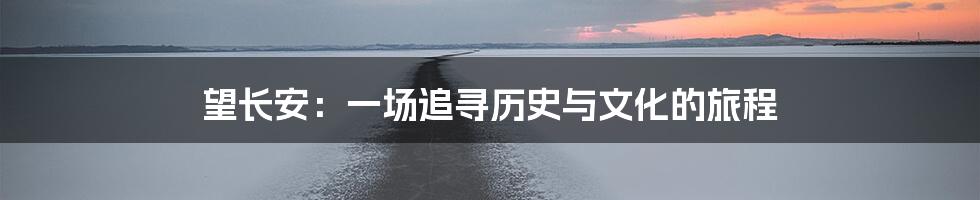 望长安：一场追寻历史与文化的旅程