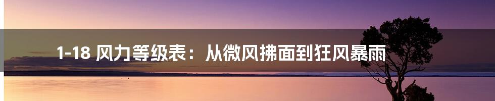 1-18 风力等级表：从微风拂面到狂风暴雨