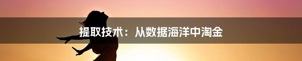 提取技术：从数据海洋中淘金