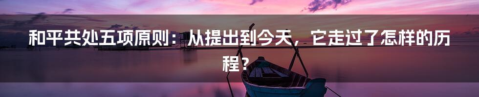 和平共处五项原则：从提出到今天，它走过了怎样的历程？