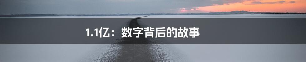 1.1亿：数字背后的故事