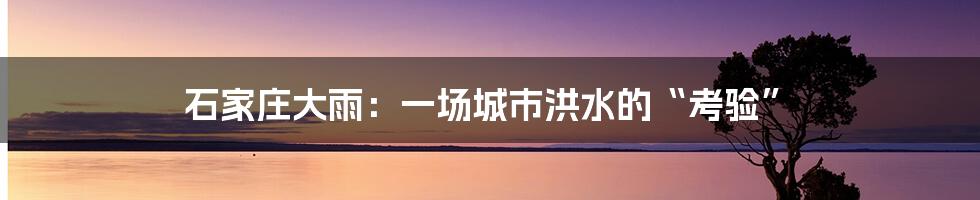 石家庄大雨：一场城市洪水的“考验”