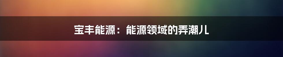 宝丰能源：能源领域的弄潮儿