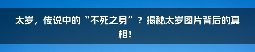 太岁，传说中的“不死之身”？揭秘太岁图片背后的真相！