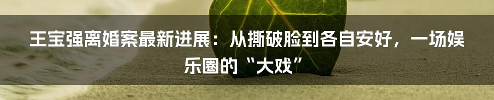 王宝强离婚案最新进展：从撕破脸到各自安好，一场娱乐圈的“大戏”