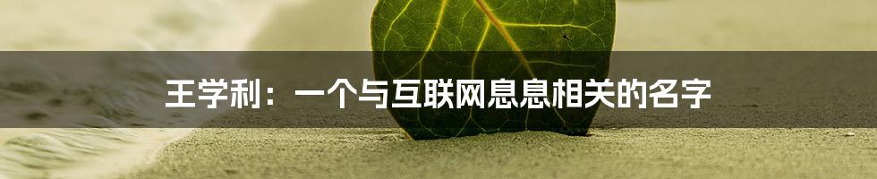 王学利：一个与互联网息息相关的名字