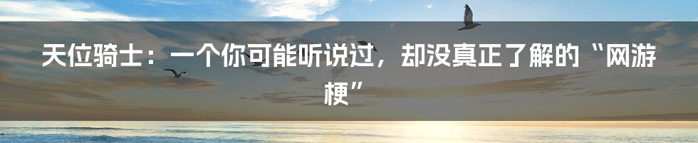 天位骑士：一个你可能听说过，却没真正了解的“网游梗”