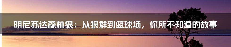 明尼苏达森林狼：从狼群到篮球场，你所不知道的故事