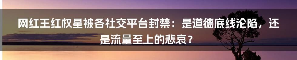 网红王红权星被各社交平台封禁：是道德底线沦陷，还是流量至上的悲哀？