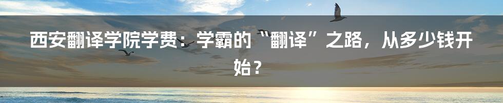 西安翻译学院学费：学霸的“翻译”之路，从多少钱开始？