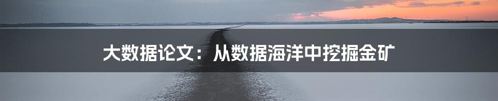 大数据论文：从数据海洋中挖掘金矿