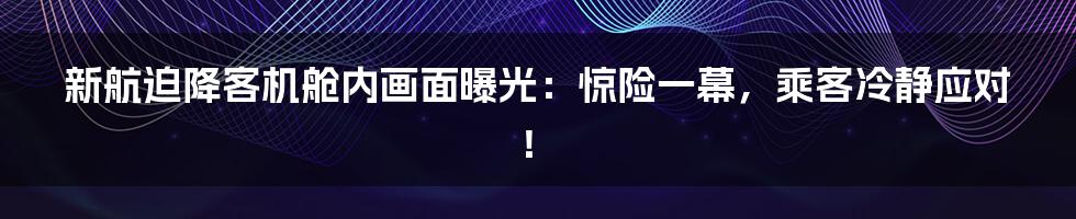 新航迫降客机舱内画面曝光：惊险一幕，乘客冷静应对！