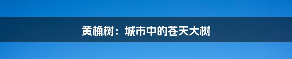 黄桷树：城市中的苍天大树