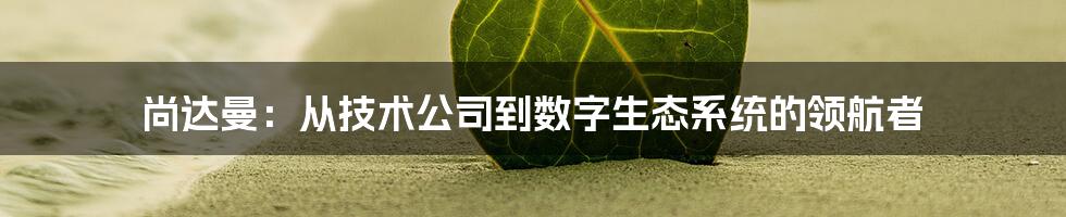 尚达曼：从技术公司到数字生态系统的领航者