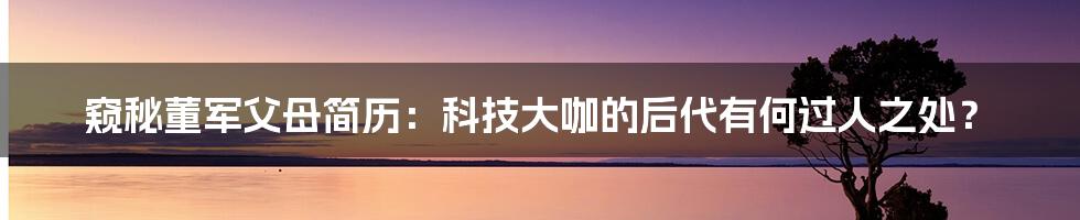 窥秘董军父母简历：科技大咖的后代有何过人之处？