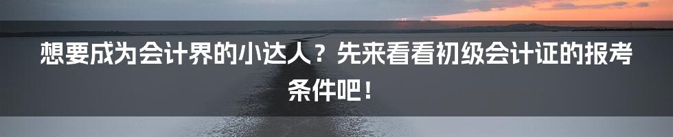 想要成为会计界的小达人？先来看看初级会计证的报考条件吧！