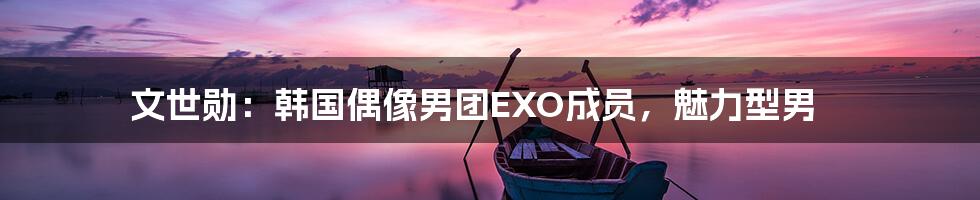 文世勋：韩国偶像男团EXO成员，魅力型男