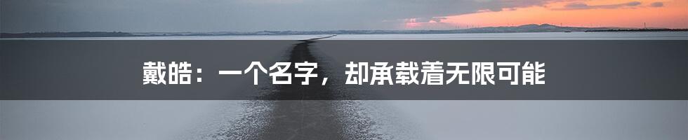 戴皓：一个名字，却承载着无限可能