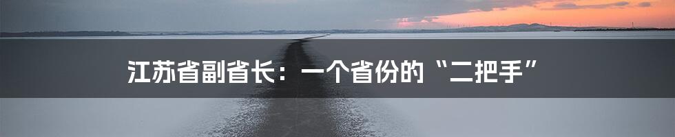 江苏省副省长：一个省份的“二把手”