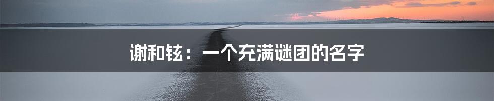 谢和铉：一个充满谜团的名字