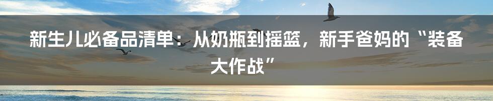 新生儿必备品清单：从奶瓶到摇篮，新手爸妈的“装备大作战”