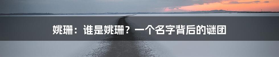 姚珊：谁是姚珊？一个名字背后的谜团