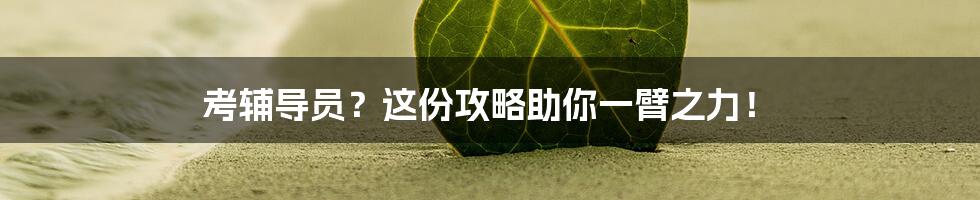 考辅导员？这份攻略助你一臂之力！