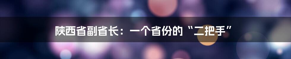 陕西省副省长：一个省份的“二把手”