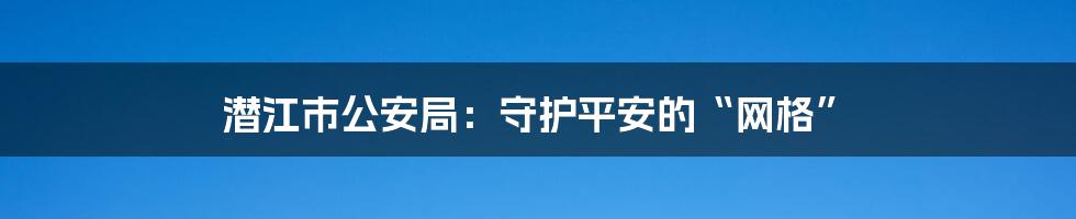 潜江市公安局：守护平安的“网格”