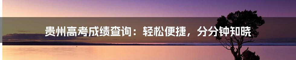 贵州高考成绩查询：轻松便捷，分分钟知晓