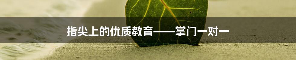 指尖上的优质教育——掌门一对一