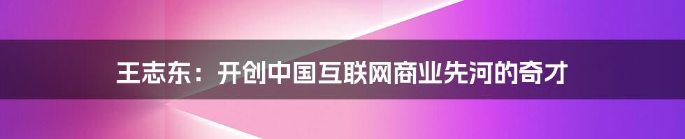 王志东：开创中国互联网商业先河的奇才