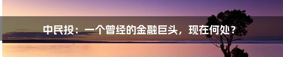 中民投：一个曾经的金融巨头，现在何处？