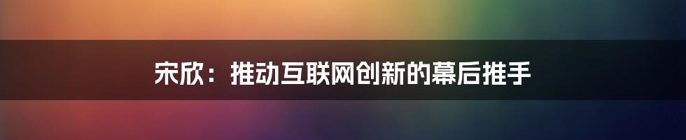 宋欣：推动互联网创新的幕后推手