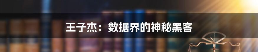 王子杰：数据界的神秘黑客